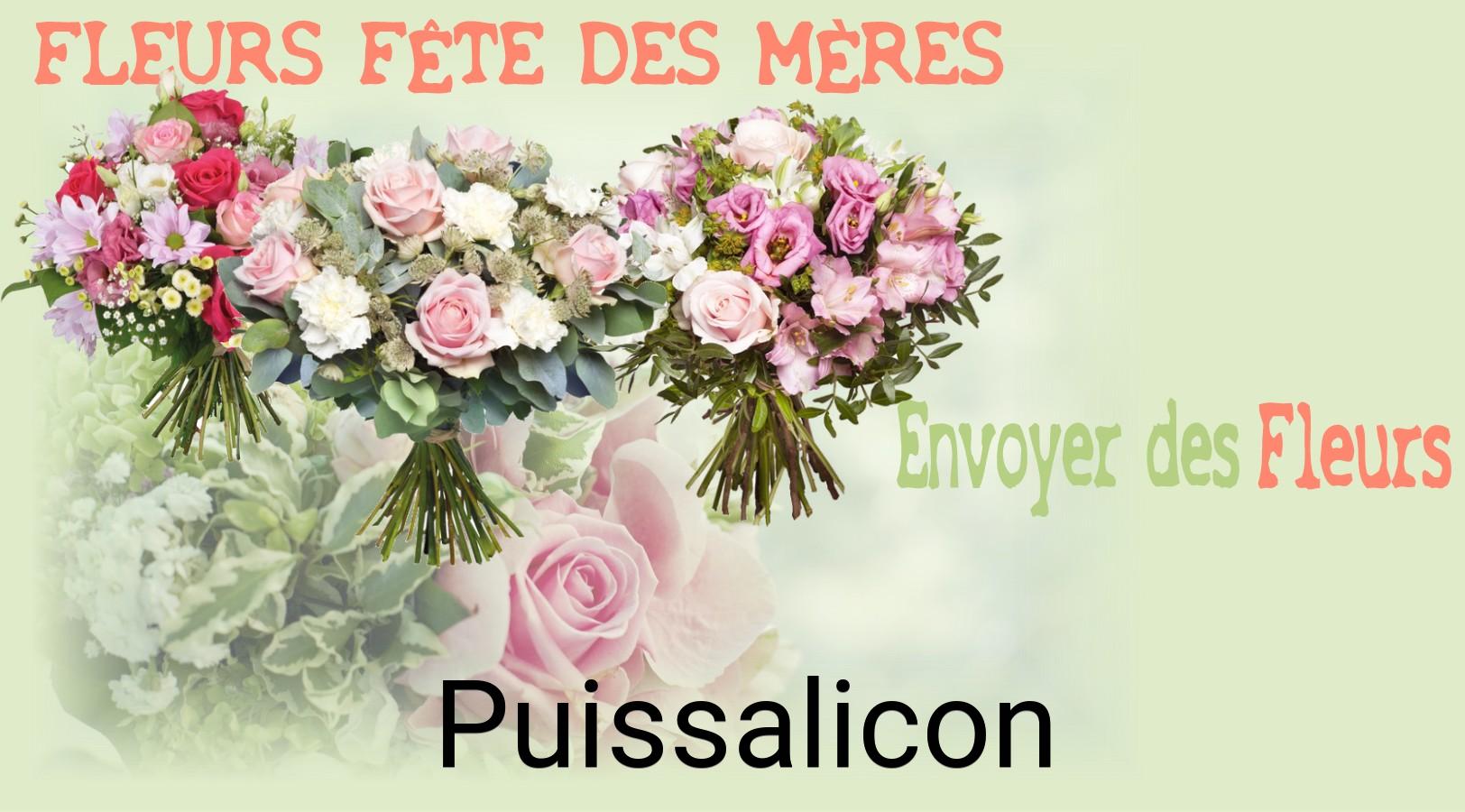 Bouquet de Fête des Mères livré à Puissalicon